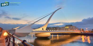 Brexit Impact Loan Scheme - Amendment to Open Call for Expression of Interest